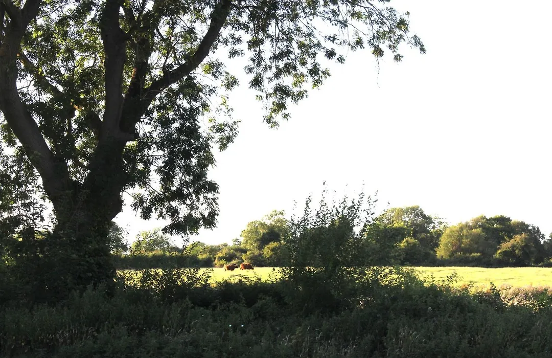 The Willowford-1